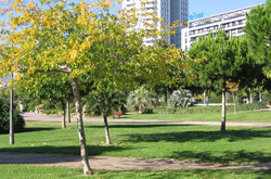 Parco Turia di Valencia