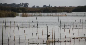 Parco naturale Albufera - Giardini e parchi