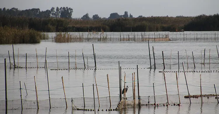 Parco naturale Albufera - Giardini e parchi