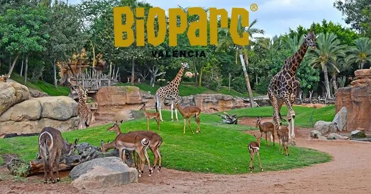 Bioparc di Valencia -Parco zoologico