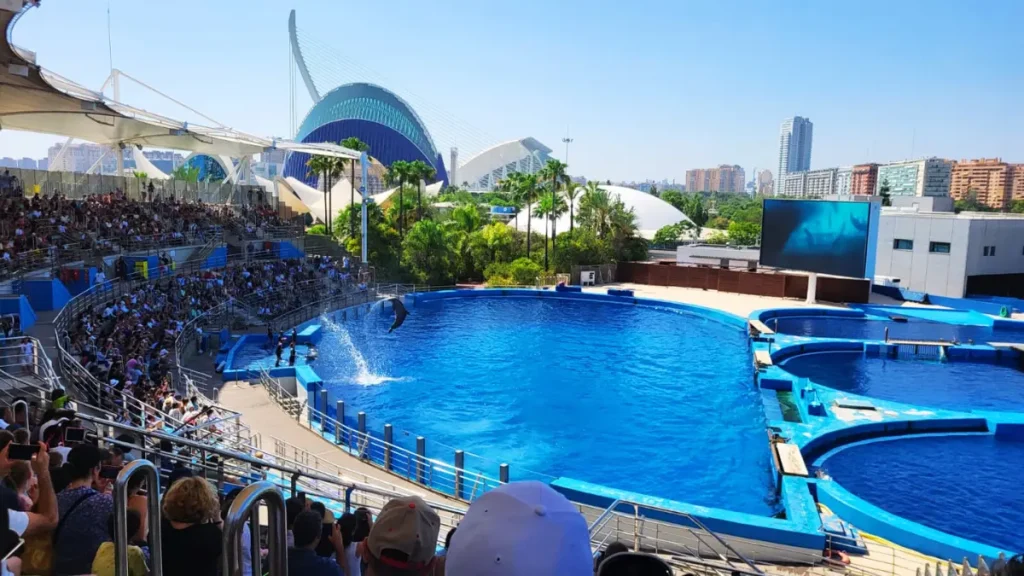 Delfinario del Oceanografico di Valencia