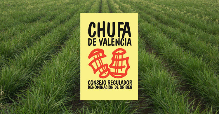Chufa de Valencia - Denominazione d'Origine
