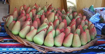 Mocadorà - Pere