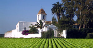 Museo della Horchata e della Chufa