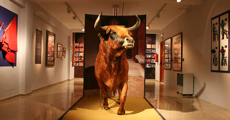 Museo Taurino di Valencia