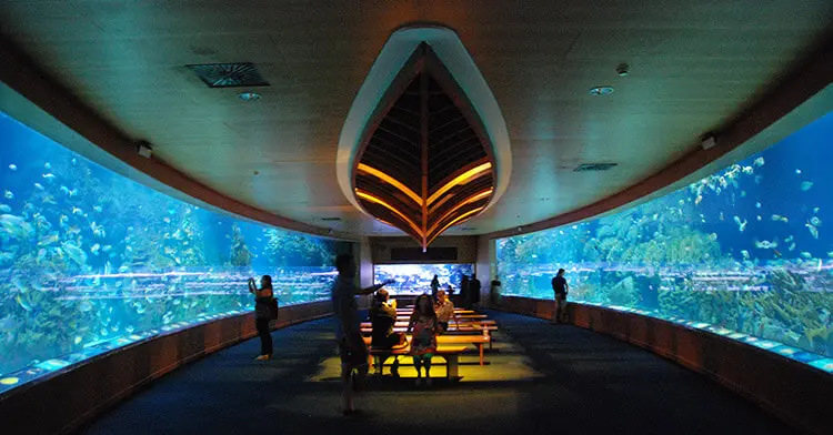 Oceanografico di Valencia, l'acquario nel complesso architettonico di Calatrava