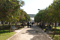 Passeggiata nei giardini del Turia