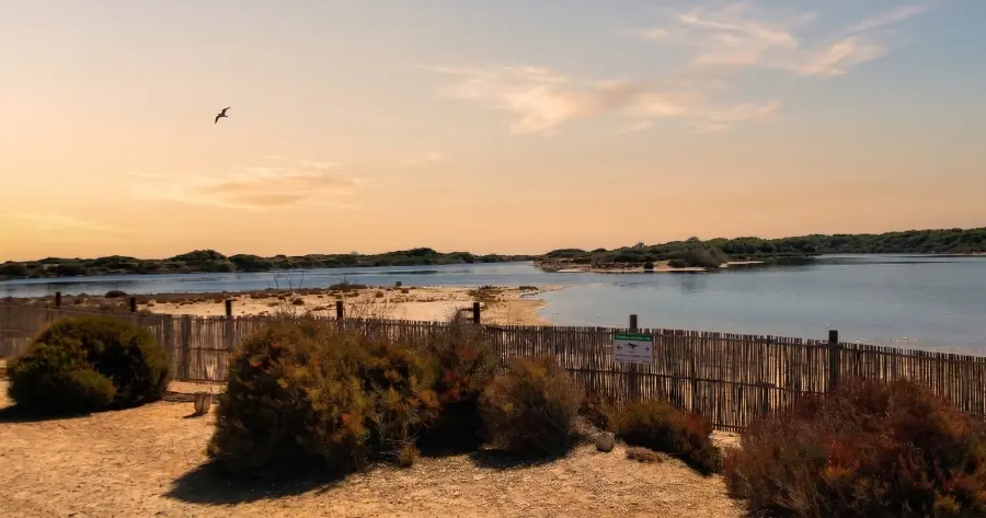 Spiagge libere a  Valencia - Playa la Devesa