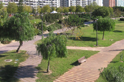 Giardini verdi di Valencia